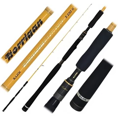 ILLEX Element Rider X5 S 2,30m H Korrigan 15-80g (1/4+3/4)