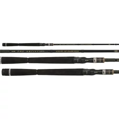 ILLEX The Artist X5 B 2,20m H Angel Of Darkness 20-80g (1+1)