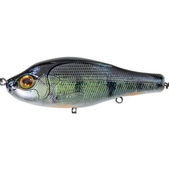 Gunki Otachi 10,0cm S Perch N.S