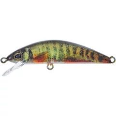 ILLEX Tricoroll 5,5cm HW RT Spawning Vairon