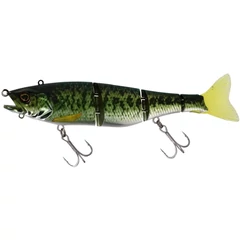 ILLEX Gantia 18cm RT Biwako Bass