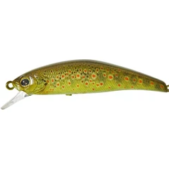 ILLEX Tricoroll 4,3cm SHW RT Truitelle