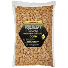 Starbaits Kukorica Ready Seeds Pro Ginger Squid 1kg