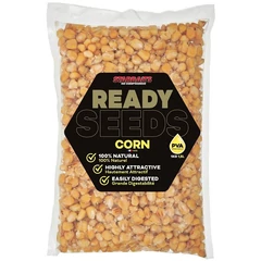 Starbaits Kukorica Ready Seeds 1kg