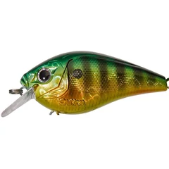 Gunki Kraken 6,5cm F Fire Gold Perch