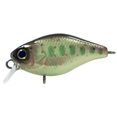 ILLEX Chubby 3,8cm Truitelle