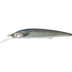 ILLEX Rerange 11cm SP RT Mullet