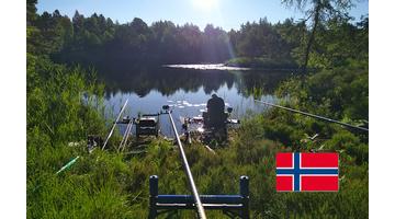 Vad norvég nyurgapontyok nyomában