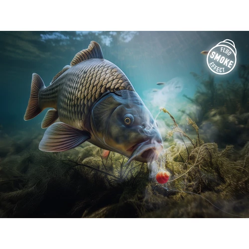 Delphin D SNAX SHELL csali 12mm/30g Mangó-Barack/wafters/oldódó