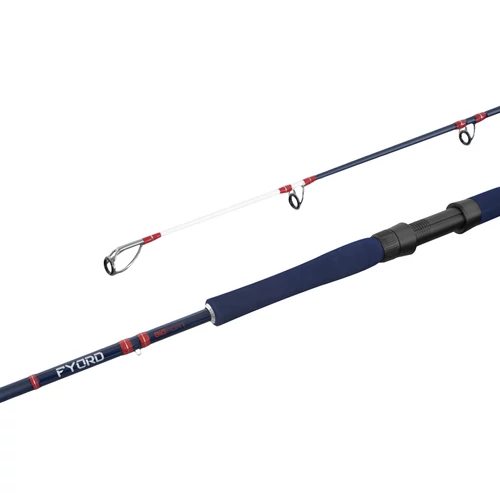 Delphin FYORD BigBOAT 200cm/300-400g/2rész