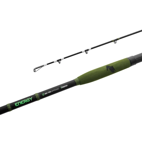 Delphin ENERGY Catfish 280cm/250-500g/2 rész