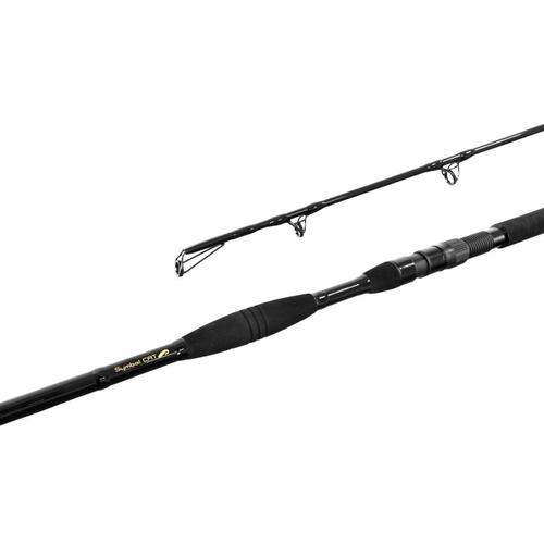 Delphin SYMBOL CAT 2 részes 285cm 500g harcsázó bot