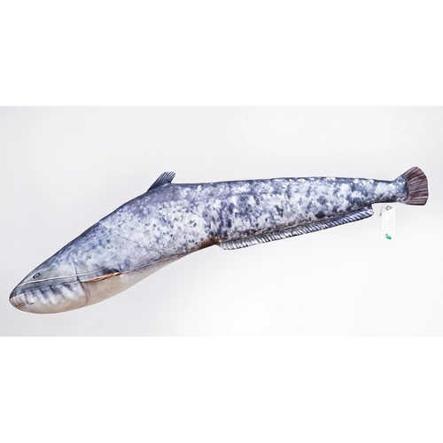 Halas Párna Harcsa Baby 62cm
