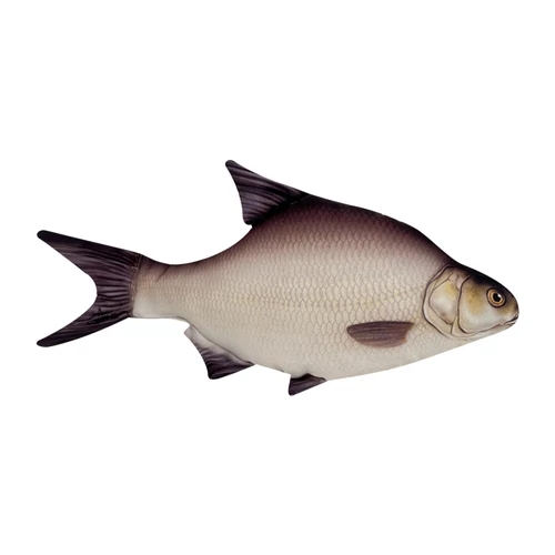 Halas Párna Keszeg 35cm