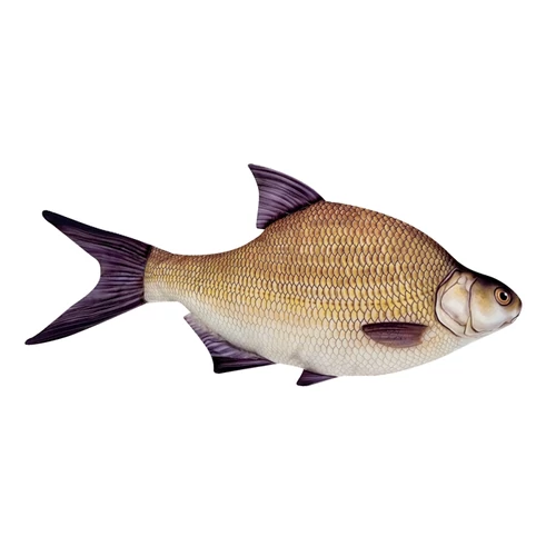 Halas Párna Keszeg 65cm