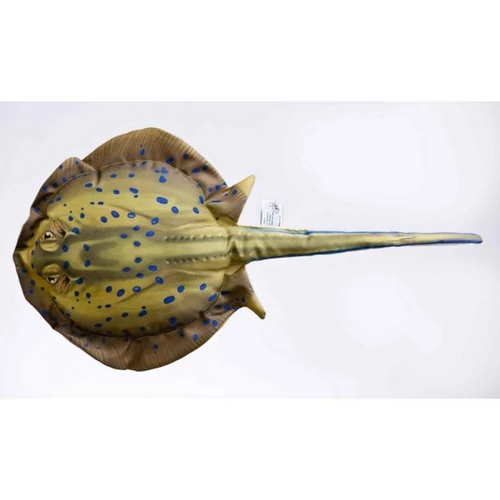 Pillow The Bluespotted Stingray 85cm
