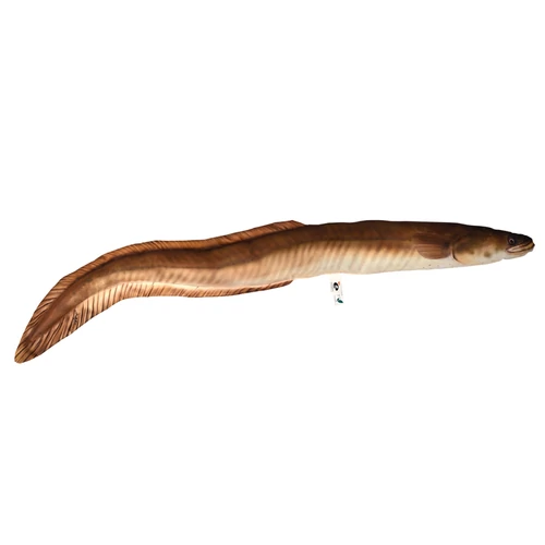 Halaspárna Angolna 115cm
