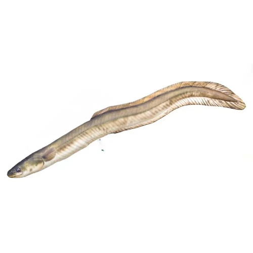 Pillow The Monster European Eel 220cm