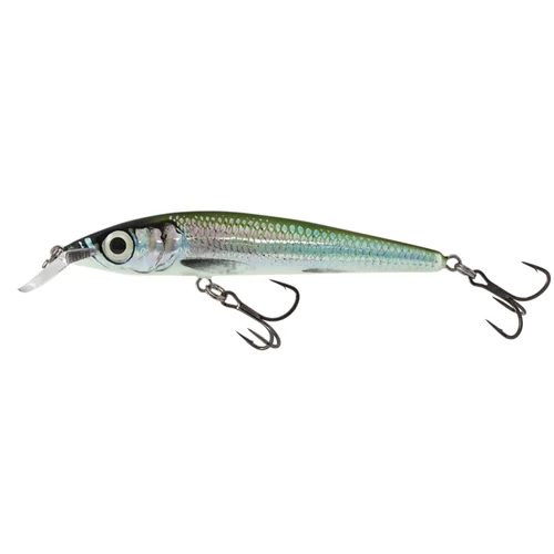 Salmo Wobbler Rattlin Sting Rs9 Hbl