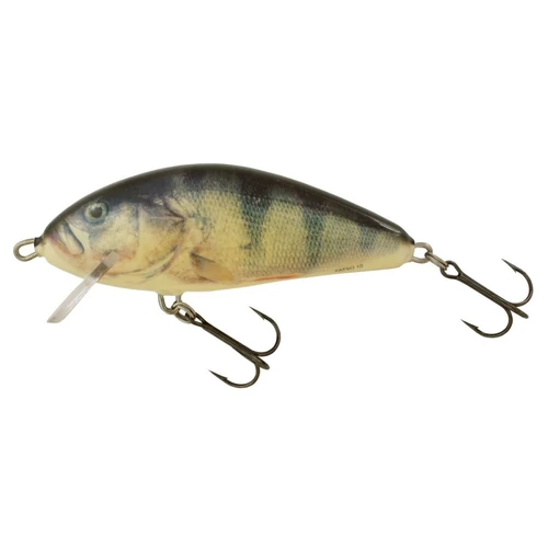Salmo Wobbler Fatso F10S Rph