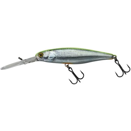 Illex Squirrel DD 7,9cm SP RT Visible Roach