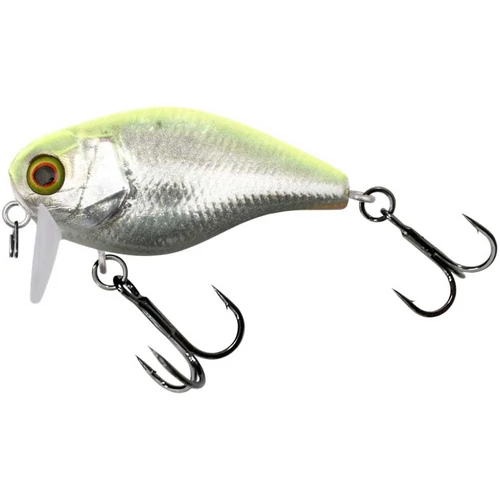 Illex Chubby SSR 4,1cm RT Visible Roach