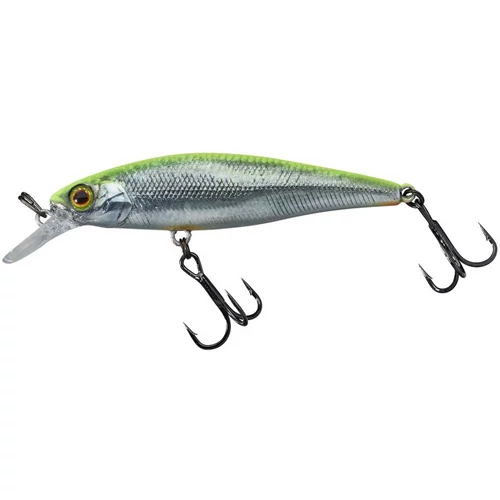 Illex Squad Minnow 6,5cm SP RT Visible Roach