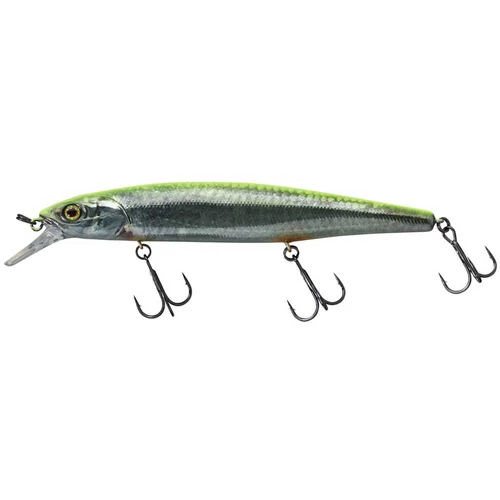Illex Mag Squad 12,8cm SP RT Visible Roach