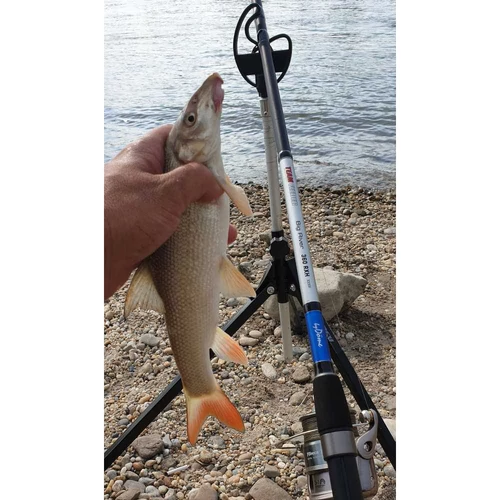 By Döme TF Big River 390 RXH 100-350gr