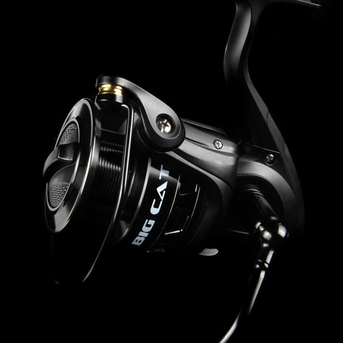 Big Cat 6000