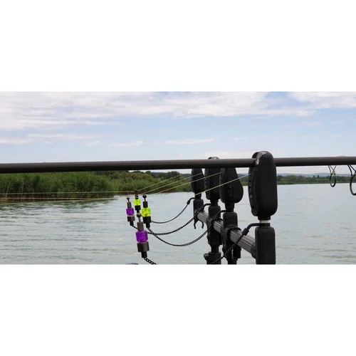 Carp Academy Thunder Swinger