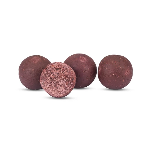 Anaconda Magist Balls Spicy Srimp Bel./Fűszeres-Garnélarák/ 24mm/1kg