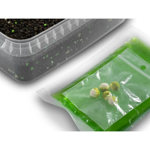 Pellet box Delphin Reaxe READY&GO Fokhagyma–Vajsav / 400g