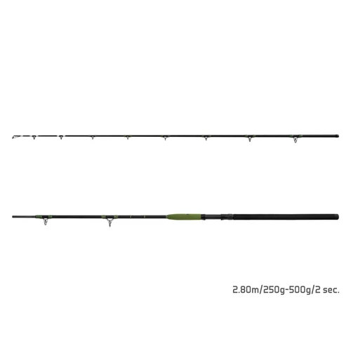 Delphin ENERGY Catfish 280cm/250-500g/2 rész