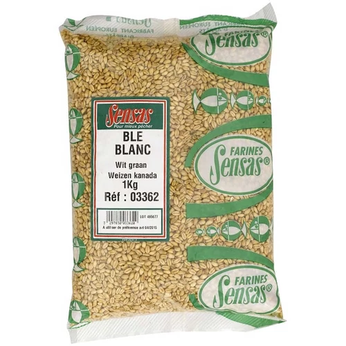 Sensas Búza Wheat White Dry Seeds 1kg