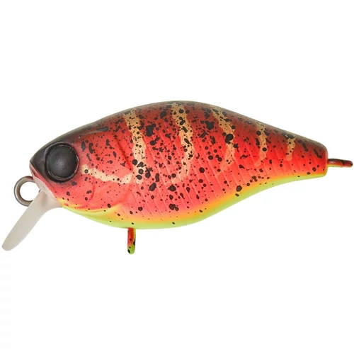 ILLEX Chubby 3,8cm Spicy Louisy Craw