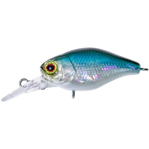 ILLEX Chubby MR 3,8cm NF Ablette