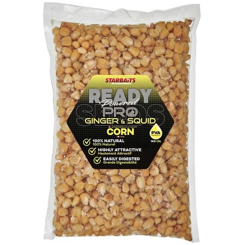 Starbaits Kukorica Ready Seeds Pro Ginger Squid 1kg