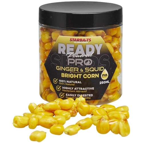 Starbaits Kukorica Bright Ready Seeds Pro Ginger Squid 250ml