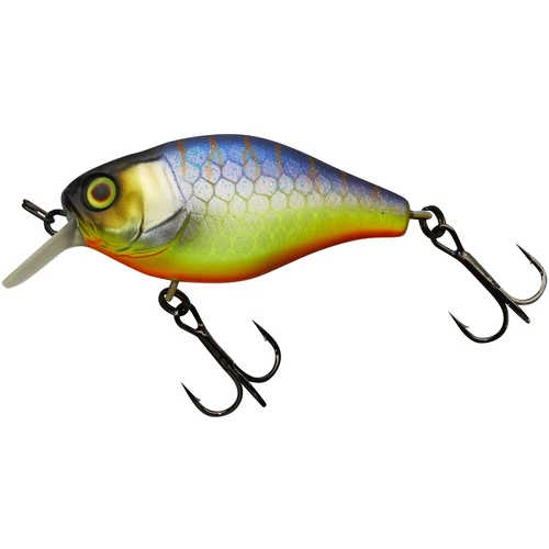 ILLEX Cherry 5cm CC Muddy Secret Tiger