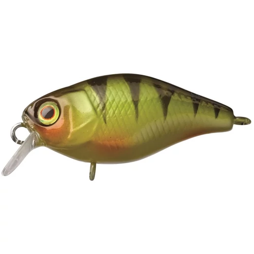 ILLEX Chubby 3,8cm Perch