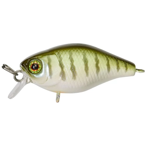 ILLEX Chubby 3,8cm Vairon