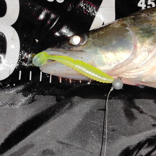 Reiva Zander Power Shad 12,5cm 3db/cs -Flash Lemonade-