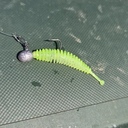 Reiva Tiny Worm 6cm 6db/cs -Blue Shiner-