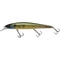 ILLEX Mag Squad 16cm SP Etto Noike Gill
