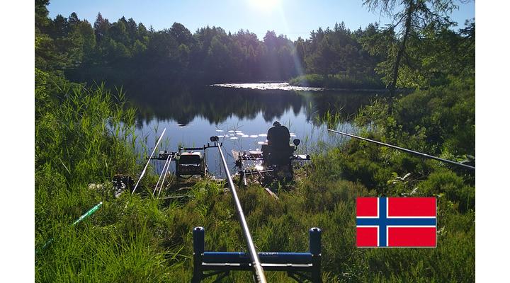 Vad norvég nyurgapontyok nyomában